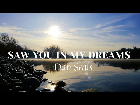 Saw You In My Dreams - Dan Seals