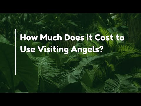 How Much Does Visiting Angels Charge