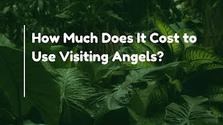 How Much Does It Cost to Use Visiting Angels