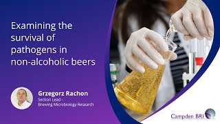 Examining the survival of pathogens in non-alcoholic beers