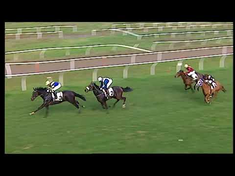 Napoli Galoppo 02/02/2021 - 1ª corsa