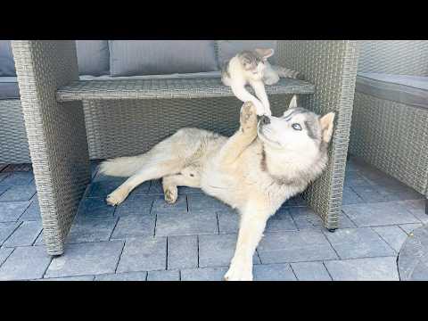 YouTube 썸네일