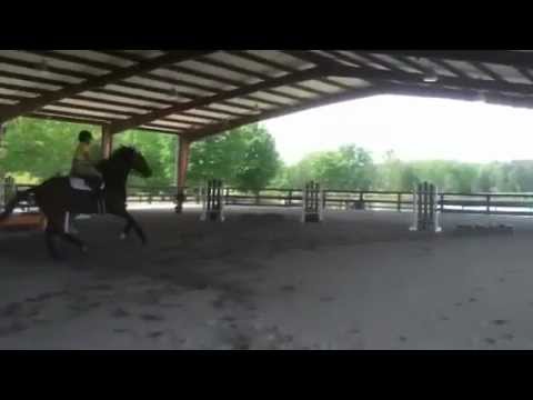 Level 4/ Child/Adult Jumper For Sale