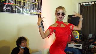 Download lagu DIRIMU DIRINYA VEGA AGUSTIN - NEW LEVYSSTAR HALILINTAR PALM BEACH mp3