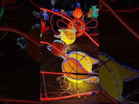 El alumbrado del parque del municipio de aipe huila