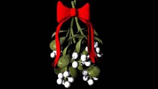 Freddie Jackson~ "  Under The Mistletoe " 🎄🎋1994