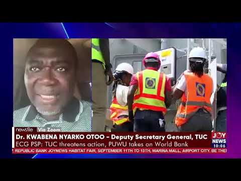 IMF and World Bank want to force government to privatise ECG - Dr Nyarko Otoo