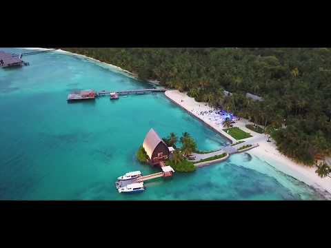 Saxokid  | Saxophonist | Event Entertainment | WACE Agency