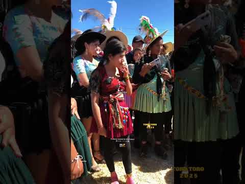 toro toro - Potosí