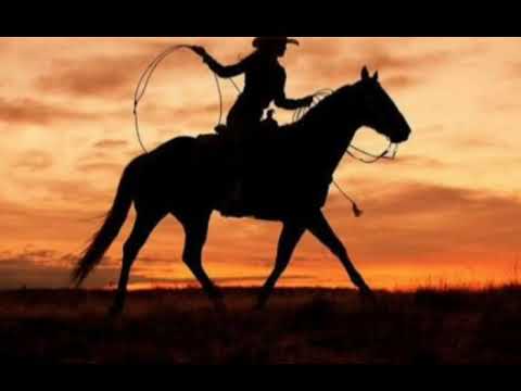 Tarcísio do acordeon_ lamento de um cavalo