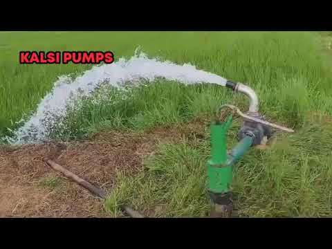 2 hp kalsi motor pump