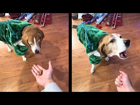 YouTube Thumbnail