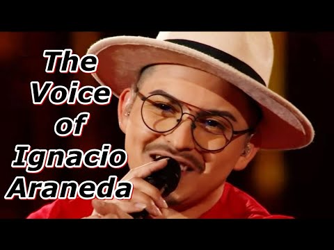 The Voice of Ignacio Araneda