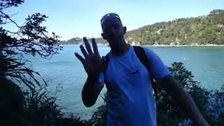 Are you an Expat Kiwi living in Australia