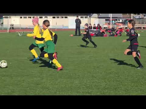 HauPa T1213 - LIPK T12