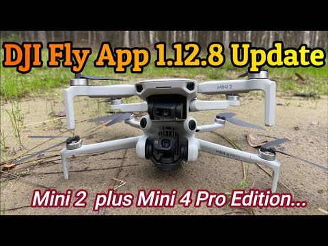 DJI Fly App Update 1.12.8 / Mini 2 and Mini 4 Pro Edition