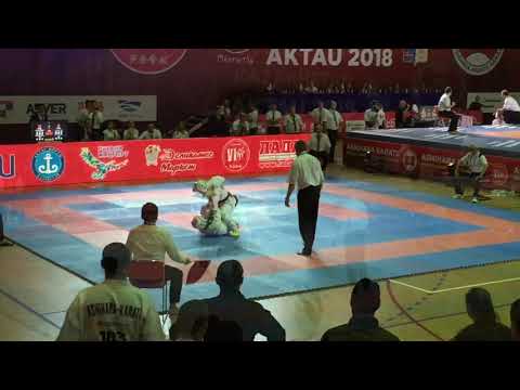 Ashihara Karate World Championship 2018  New Rules