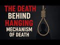 The Death Behind Hanging TheScience MechanismofFatal InjuriesExplained AwarenessVideo Rescuequest