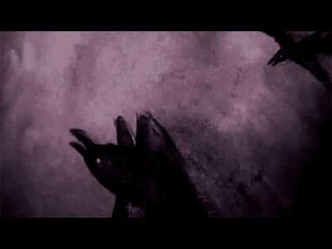 Parker & Xiku - Cuervos negros