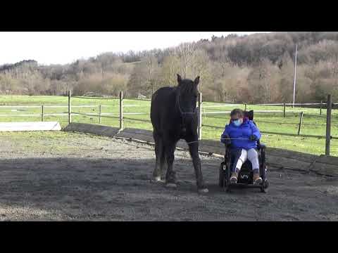 Galopin montage Liberté du 28 01 2021