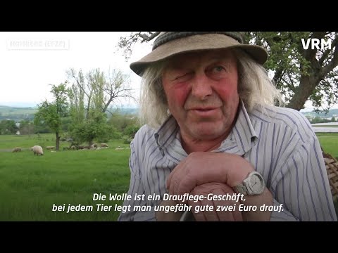 Schäfer in Deutschland: Ein harter Job