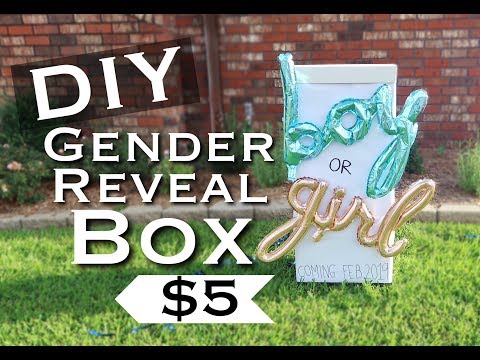 download lagu mp3 mp4 Gender Reveal Box Ideas Diy, download lagu Gender Reveal Box Ideas Diy gratis, unduh video klip Gender Reveal Box Ideas Diy