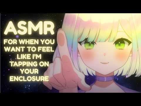 【ASMR】super tingly tapping to send you to sleep💛💤 | various tapping triggers + whispers  #3DIO #asmr