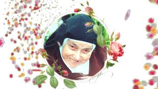 [O processo de beatificação de Nossa Mãe]