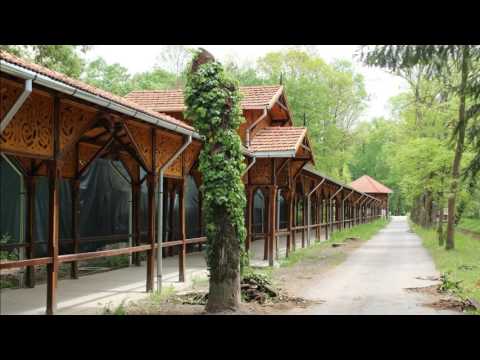 Buzias oras statiune.