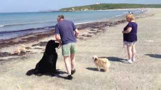 preview picture of video 'Erin's first day at sandy beach'