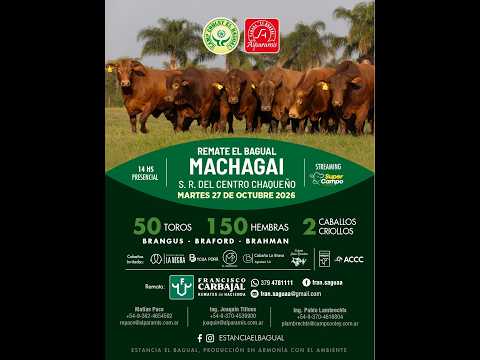 REMATE EL BAGUAL SOC. RURAL DEL CENTRO CHAQUEÑO MACHAGAI - CHACO