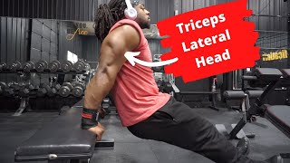 3 Exercises For Thick Triceps | Triceps Lateral Head