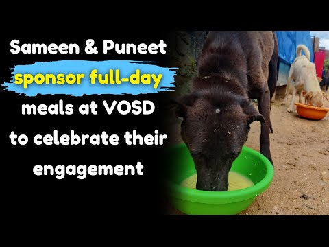 Sameen & Puneet sponsor full-day meals to celebrate their engagement