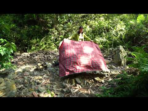 SOLO OVERNIGHT CAMPING IN THE RAIN - RELAXING IN THE TENT WITH THE SATISFYING SOUND OF NATURE - ASMR