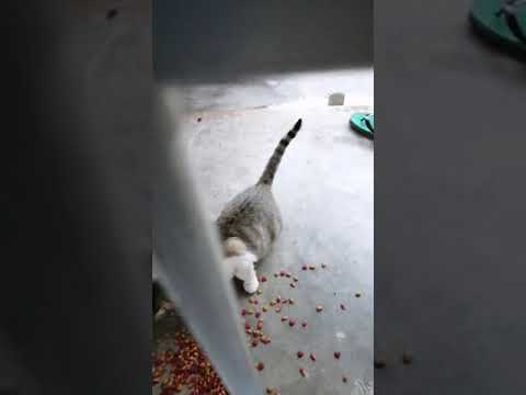 Breakfast by combi n farouk