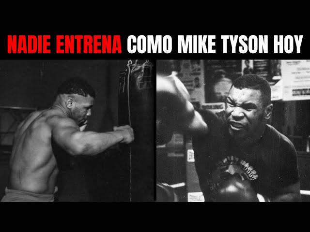 Vídeo relacionado con HWC Trading - Imagen con autógrafo firmado de Mike Tyson - Gifts para fanáticos del boxeo, enmarcado en A3