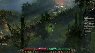 preview picture of video 'Grim Dawn-gameplay footage'