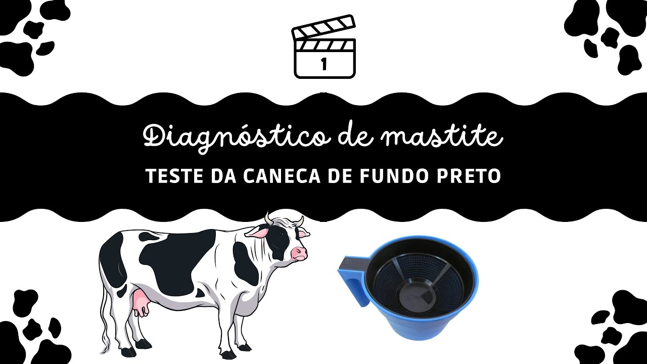 Diagnóstico da Mastite: #1- Teste da Caneca de Fundo Preto