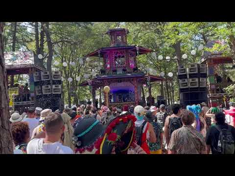 Elements Music & Arts Festival 2025 with The Illustrious Blacks