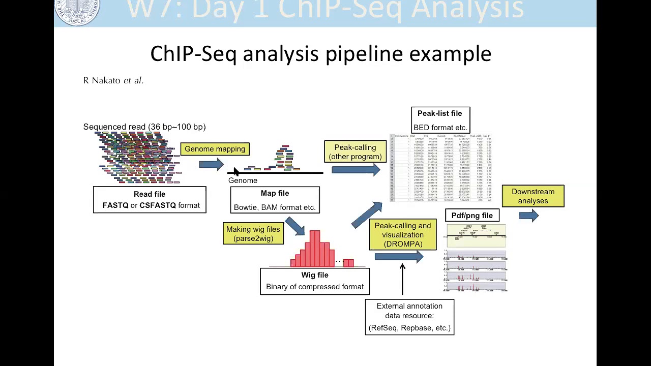 CHiP-Seq Analysis- Day 1