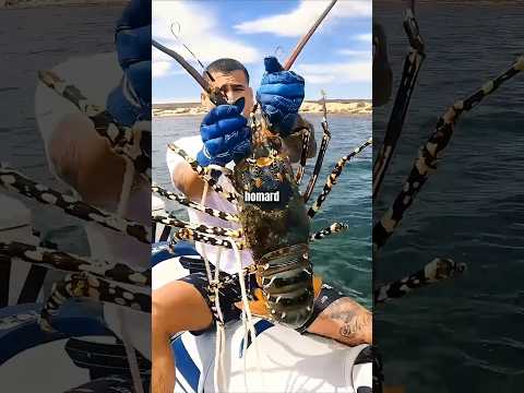 Le Homard Était un Plat de Prisonniers 🦞💀