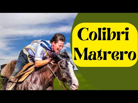 Colibrí Matrero: A Elegância e Resistência da Raça - Página do Cavalo Crioulo #abccc #campo #cavalos