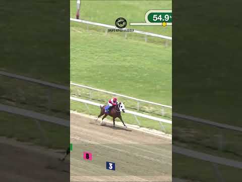 2# CARRERA DOMINGO 6/9/2026 : C401 | Magnum | Hipódromo La Rinconada | Reunión 35 | 2026