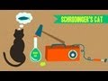 IDTIMWYTIM: Schrodinger's Cat