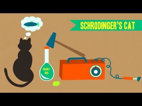 IDTIMWYTIM：シュレディンガーの猫 (IDTIMWYTIM: Schrodinger's Cat)