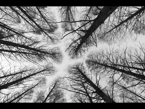 Video thumbnail for Hide And Seek
