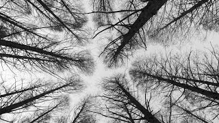 Love X Stereo - Hide and Seek (Single Version)