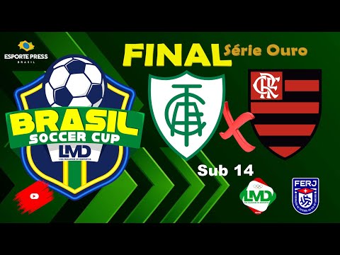 AMERICA-MG X FLAMENGO-RJ - FINAL