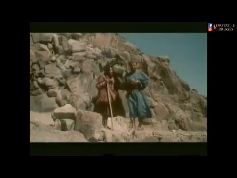 Shokët e Shpellës - Pjesa 4