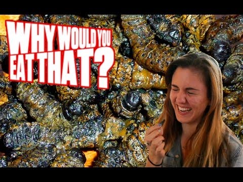 Mopane Worms aka Crunchy Caterpillars - Why Would You Eat That?